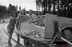 Delo na trasi - 13.6.1948. Foto: Mahovič Zvone