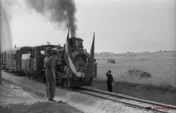 Vlak prihaja na postajo Trnovski gozd - 13.6.1948. Foto: Mahovič Zvone