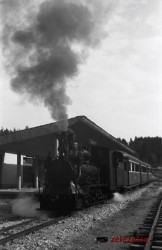 Vlak na postaji Jelenov žleb - 7.5.1950. Foto: Jere Leon